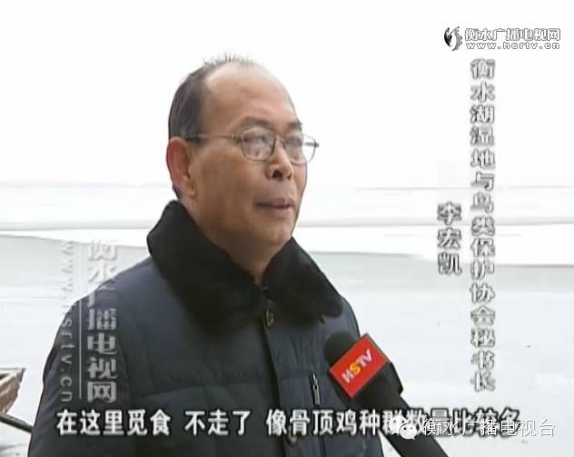 �f(w��n)ֻ����u���Һ�ˮ��